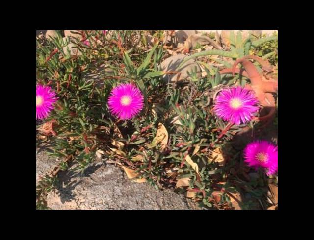 LAND FOR SALE IN PARADISE COAST